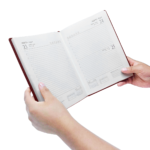 20260209_0152_Image Generation_remix_01kh0jqpwae35thay8dj6g20qf